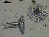  ( - EQU4328_Lmac)  @11 [ ] by-nc-sa  INVEMAR INVEMAR-BEM