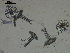  ( - EQU4328_Lmac)  @11 [ ] by-nc-sa  INVEMAR INVEMAR-BEM