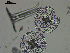  ( - EQU4328_Lmac)  @11 [ ] by-nc-sa  INVEMAR INVEMAR-BEM