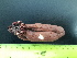  ( - EQU4308_Cf)  @11 [ ] by-nc-sa  INVEMAR INVEMAR-BEM