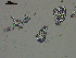  ( - EQU4308_Cf)  @11 [ ] by-nc-sa  INVEMAR INVEMAR-BEM
