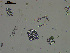  ( - EQU4308_Cf)  @11 [ ] by-nc-sa  INVEMAR INVEMAR-BEM