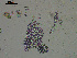  ( - EQU4308_Cf)  @11 [ ] by-nc-sa  INVEMAR INVEMAR-BEM