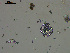  ( - EQU4308_Cf)  @11 [ ] by-nc-sa  INVEMAR INVEMAR-BEM