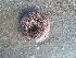  ( - EQU_Hpri)  @11 [ ] by-nc-sa  INVEMAR INVEMAR-BEM