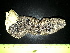  ( - EQU_Hpri)  @11 [ ] by-nc-sa  INVEMAR INVEMAR-BEM