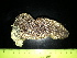  ( - EQU_Hpri)  @11 [ ] by-nc-sa  INVEMAR INVEMAR-BEM