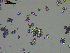  ( - EQU_Hpri)  @11 [ ] by-nc-sa  INVEMAR INVEMAR-BEM