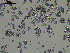  ( - EQU_Hpri)  @11 [ ] by-nc-sa  INVEMAR INVEMAR-BEM