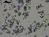  ( - EQU_Hpri)  @11 [ ] by-nc-sa  INVEMAR INVEMAR-BEM