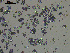  ( - EQU_Hpri)  @11 [ ] by-nc-sa  INVEMAR INVEMAR-BEM