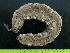  ( - EQU1330_Hzac)  @11 [ ] by-nc-sa  INVEMAR INVEMAR-BEM