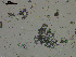  ( - EQU1330_Hzac)  @11 [ ] by-nc-sa  INVEMAR INVEMAR-BEM