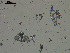  ( - EQU1330_Hzac)  @11 [ ] by-nc-sa  INVEMAR INVEMAR-BEM