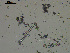  ( - EQU1330_Hzac)  @11 [ ] by-nc-sa  INVEMAR INVEMAR-BEM