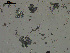  ( - EQU1330_Hzac)  @11 [ ] by-nc-sa  INVEMAR INVEMAR-BEM