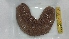  ( - EQU1987_Ibad)  @11 [ ] by-nc-sa  INVEMAR INVEMAR-BEM