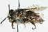  ( - 06711E12-KEN)  @11 [ ] CreativeCommons - Attribution (2016) CBG Photography Group Centre for Biodiversity Genomics