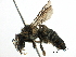  ( - 06737F05-KFN)  @12 [ ] CreativeCommons - Attribution (2016) CBG Photography Group Centre for Biodiversity Genomics