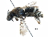  ( - 06737H01-KEN)  @11 [ ] CreativeCommons - Attribution (2016) CBG Photography Group Centre for Biodiversity Genomics