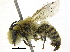  ( - 06747E12-ZAF)  @14 [ ] CreativeCommons - Attribution (2016) CBG Photography Group Centre for Biodiversity Genomics
