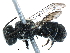  (Heriades ZAF10 - 06747F03-ZAF)  @15 [ ] CreativeCommons - Attribution (2016) CBG Photography Group Centre for Biodiversity Genomics