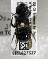  ( - 05-CA-2720)  @13 [ ] CreativeCommons - Attribution Non-Commercial Share-Alike (2010) Unspecified York University