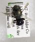  (Osmia rawlinsi - CCDB-03759 A06)  @12 [ ] CreativeCommons - Attribution Non-Commercial Share-Alike (2010) Unspecified York University