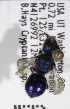  (Osmia kincaidii - CCDB-03761 D11)  @13 [ ] CreativeCommons - Attribution Non-Commercial Share-Alike (2010) Unspecified York University