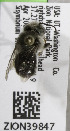  (Osmia sp1 - CCDB-03761 F05)  @12 [ ] CreativeCommons - Attribution Non-Commercial Share-Alike (2010) Unspecified York University