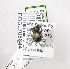  (Osmia prunorum - CCDB-03758 G09)  @13 [ ] CreativeCommons - Attribution Non-Commercial Share-Alike (2010) Unspecified York University