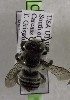  (Megachile nevadensis - CCDB-03768 C01)  @13 [ ] CreativeCommons - Attribution Non-Commercial Share-Alike (2010) Unspecified York University