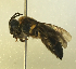  ( - CCDB-03769 E11)  @11 [ ] CreativeCommons - Attribution (2019) Royal Saskatchewan Museum Royal Saskatchewan Museum