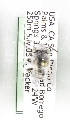  (Anthophora USA03 - CCDB-06705 C04)  @12 [ ] Unspecified (default): All Rights Reserved  Unspecified Unspecified