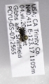  (Hylaeus nevadensis - CCDB-09863 E02)  @13 [ ] Unspecified (default): All Rights Reserved (2011) Unspecified York University