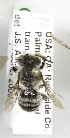  (Megachile pseudonigra - CCDB-09999 F02)  @12 [ ] Unspecified (default): All Rights Reserved (2011) Unspecified York University
