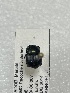  ( - MUTPL-CISEC-0034324)  @11 [ ] CYC (2024) UTPL UTPL