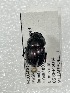 ( - MUTPL-CISEC-0034434)  @11 [ ] CYC (2024) UTPL UTPL