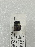  ( - MUTPL-CISEC-0042357)  @11 [ ] CYC (2024) UTPL UTPL