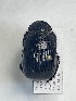  (Homocopris buckleyi - MUTPL-CISEC-0047235)  @11 [ ] CYC (2024) UTPL UTPL