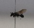  ( - 1070.MB)  @11 [ ] Copyright (2019) MCAST Unspecified