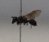  ( - 1071.MB)  @11 [ ] Copyright (2019) MCAST Unspecified
