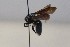  ( - 838.MB)  @11 [ ] Copyright (2019) MCAST Unspecified