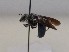  ( - 843.MB)  @11 [ ] Copyright (2019) MCAST Unspecified