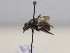  ( - 998.MB)  @11 [ ] Copyright (2019) MCAST Unspecified