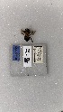  (Anthophora tricolor - ECN-PR-31)  @11 [ ] by-nc-nd (2022) Elif Kardas University of Puerto Rico
