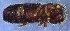  ( - IUP-2019Apr1-S3-T5-1)  @11 [ ] nrr (2021) Ellen H. Yerger Indiana University of Pennsylvania