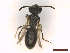  ( - IRBI_Imagho_BA7)  @11 [ ] CreativeCommons  Attribution Non-Commercial Share-Alike (2022) Lorène Marchal IRBI