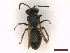  ( - IRBI_Imagho_BF2)  @11 [ ] CreativeCommons  Attribution Non-Commercial Share-Alike (2022) Lorène Marchal IRBI