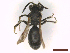  ( - IRBI_Imagho_BO10)  @11 [ ] CreativeCommons  Attribution Non-Commercial Share-Alike (2022) Lorène Marchal IRBI